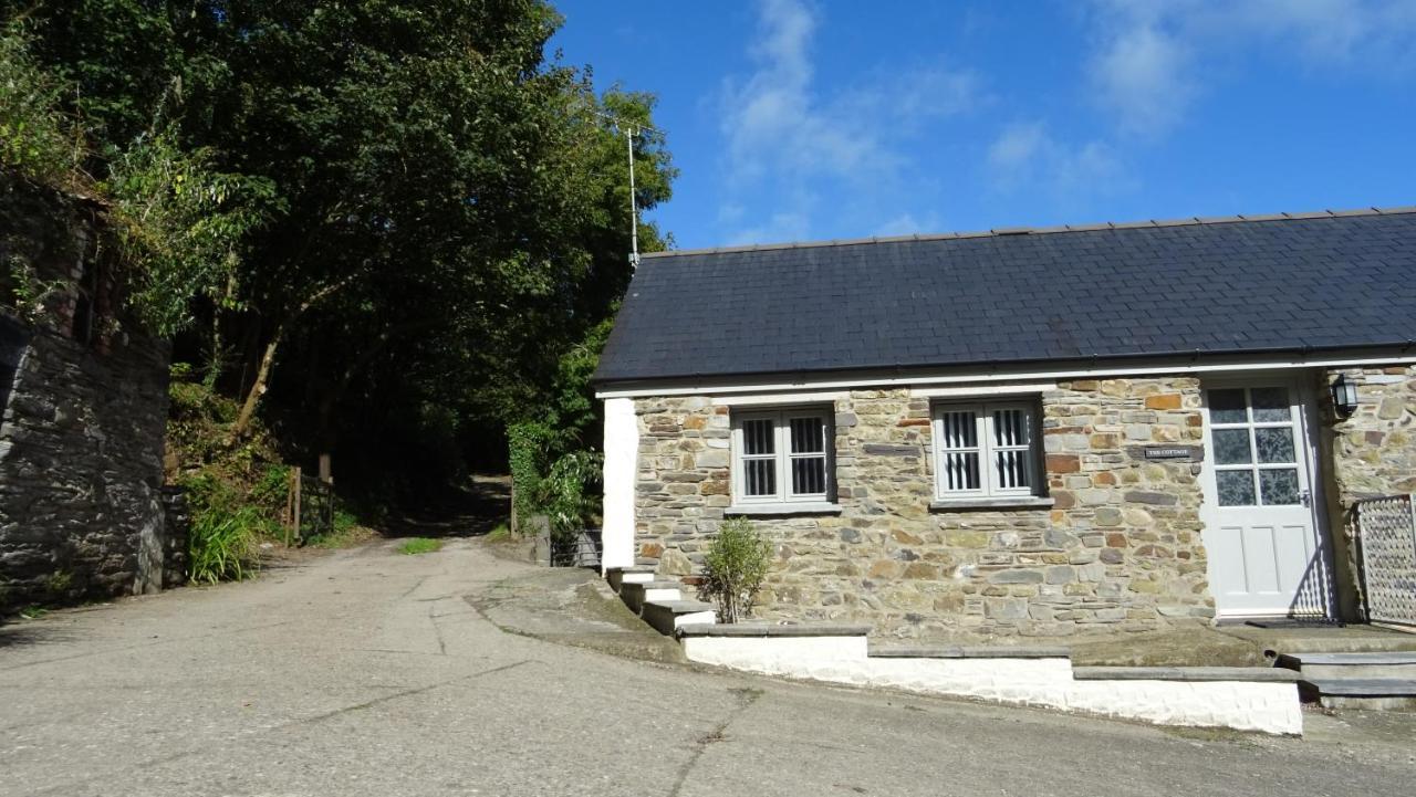 Wild Coastal Retreat At Troed Y Rhiw Aberporth, West Wales Villa Exterior photo